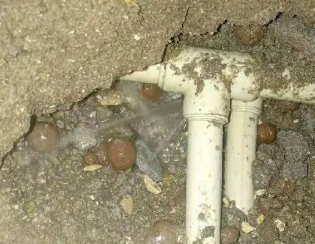 荥经卫生间测漏