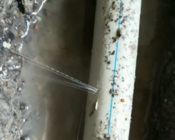 荥经卫生间测漏水多少钱