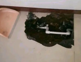 荥经卫生间测漏水多少钱